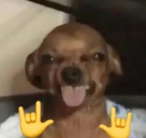 444265