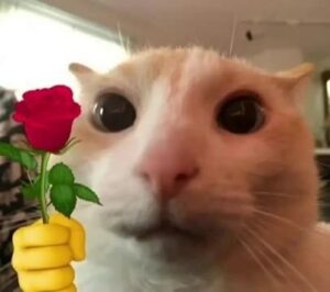 70311